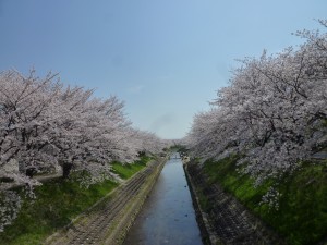 P1090114