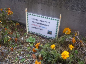 P1110005