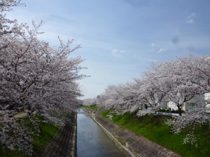P1110784