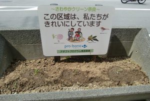 CIMG3332