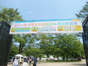CIMG3497
